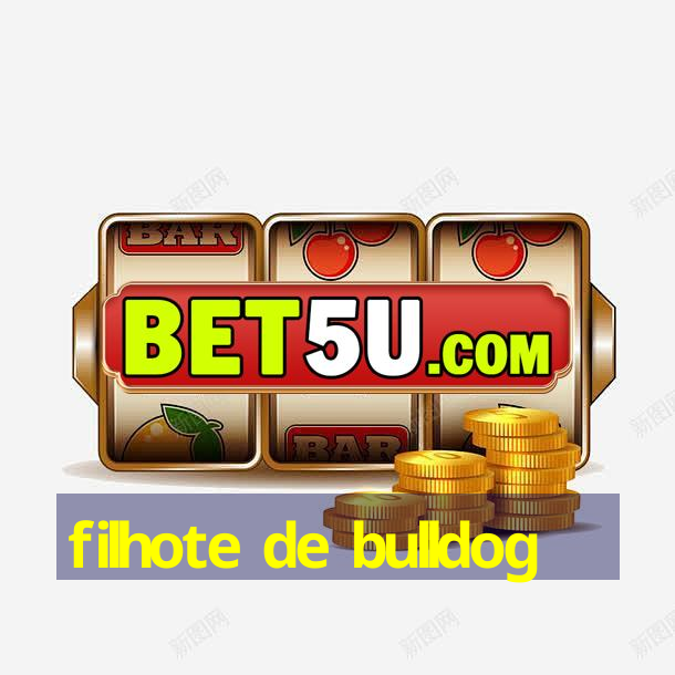 filhote de bulldog